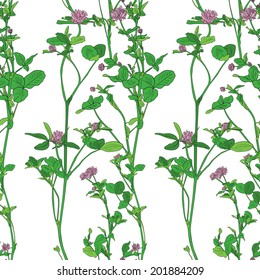 Vector seamless pattern with drawing clovers, wild flowers, hand drawn floral illustration
