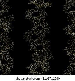 vector seamless pattern with drawing daisy flowers at black background, floral ornament, hand drawn botanical illustration
