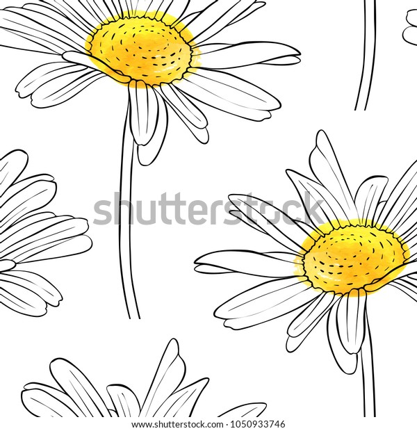 花柄の背景にベクターシームレスなパターンと描くデイジーフラワー 手描きの植物イラスト のベクター画像素材 ロイヤリティフリー 1050933746