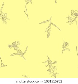 vector seamless pattern with drawing flowers, floral background, hand drawn botanical illustration