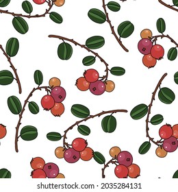 vector seamless pattern with drawing lingonberry plant, Vaccinium vitis-idaea, hand drawn background with medicinal plant