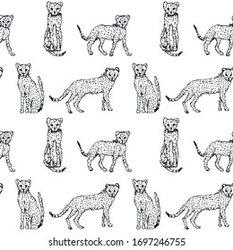 Vector seamless pattern with drawings of cheetahs. 