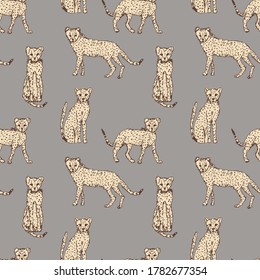 Vector seamless pattern with drawings of cheetahs. 
