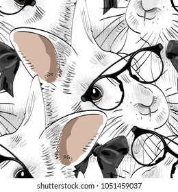 Vector seamless pattern with dressed rabbits. Rabbits with black glasses. 