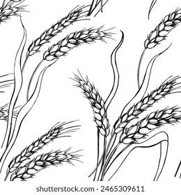 vector seamless pattern of ears of wheat, hand drawn branches of wheat, agriculture theme, black and white sketch of harvest theme isolated on white background