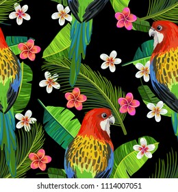 Vector seamless pattern with eastern rosella, frangipani flowers and palm leaves on black background. Realistic birds and plants. Colorful summer illustration.