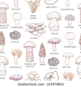 Vector seamless pattern of edible mushrooms for your design.