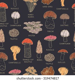 Vector seamless pattern of edible mushrooms for your design.