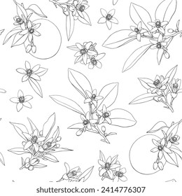 Vector seamless pattern Elegant Line art Neroli flowers twig. Citrus flowering branch. Hand drawn line art botanical illustration. Cosmetic, perfumery and medicinal plant