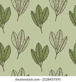 Vector seamless pattern with engraved Yerba Mate leaves. Repeating green background with tea leaves, plant motif. Drink, food, medical plants. Design for print, textile, wrapping, card, paper