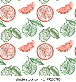 Vector seamless pattern with engraving fruits. Summer sketched elements repeated on white background.