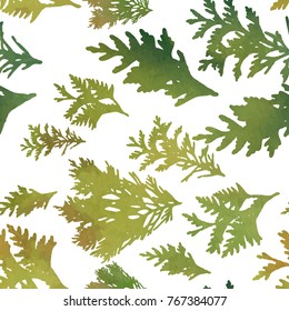  Vector seamless pattern with evergreen fir or pine tree twigs and branches with watercolor texture on  white background.