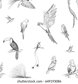 Vector seamless pattern of exotic birds of the tropical forests of the Amazon. Hand drawings