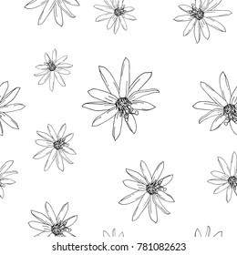 Vector seamless pattern with exotic flowers. For bedding, pillows, curtains, textiles, clothing, bags. Black and white illustration. The decor of the interior. Picture for Wallpaper, posters.