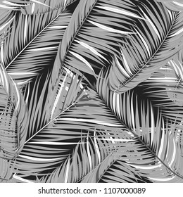 Vector Seamless Pattern of Exotic Palm Leaves. Tropic Summer Background. Realistic Jungle Foliage in Modern Style. Tropic Seamless Pattern for Print, Paper, Cloth Design, Textile, Wallpaper, Wrapping.