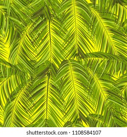 Vector Seamless Pattern of Exotic Palm Leaves. Tropic Summer Background. Realistic Jungle Foliage in Modern Style. Tropic Seamless Pattern for Print, Paper, Cloth Design, Textile, Wallpaper, Wrapping.