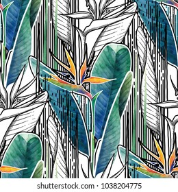 Vector seamless pattern of exotic strelitzia flowers drawn in line graphic and watercolor artistic techniques