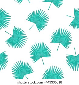 Vector seamless pattern with fan palm leaves . Tropical white background. Textile fabric print