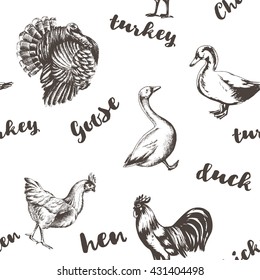 vector seamless pattern with farm animals