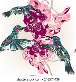 Vector seamless pattern with fashion stylish orchids and hummingbirds