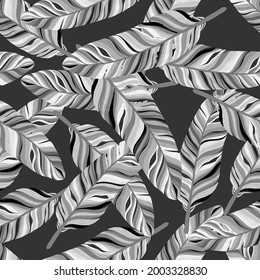 Vector Seamless pattern of Feather in black, white and light gray tone on dark grey background, Hand drawn of Bird,duck or chicken feather pattern for fabric, textile and wall paper