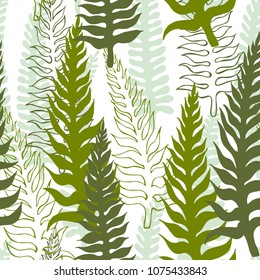 Vector seamless pattern with fern.  