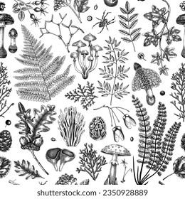 Vector seamless pattern with fern leaf, mushrooms, fall leaves and autumn plant sketches. Monochrome botanical repeating texture. Hand drawn autumn forest background. Vintage nature design for print