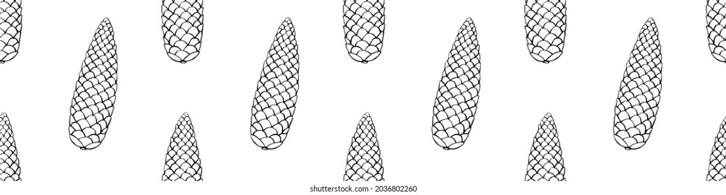 Vector seamless pattern with fir spruce cone in doodle style. Nature forest background and texture, isolated