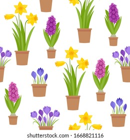 Vector seamless pattern of first spring flowers in pot isolated on white. Cartoon background with crocus, daffodil and hyacinthus used for magazine, poster, web pages.