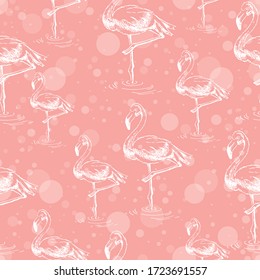   Patrón veloz. Pájaros flamencos de fondo rosado. dibujo de la pluma de tinta blanca. Diseño de arte de línea. Foto dibujada a mano. Dibujo artístico.