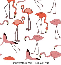 Vector seamless pattern of flamingo drawn in doodle style on white background.