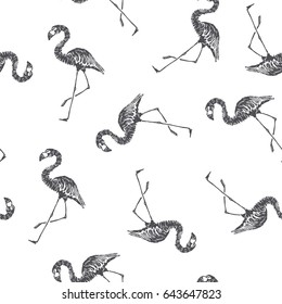 Vector seamless pattern with flamingo. Hand drawn illustration of exotic birds in sketch style. Summer vacation