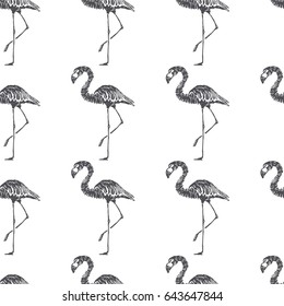 Vector seamless pattern with flamingo. Hand drawn illustration of exotic birds in sketch style. Summer vacation