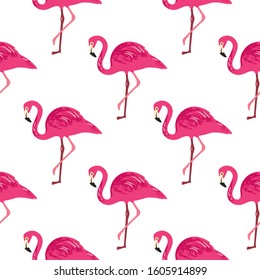 Vector seamless pattern with flamingos