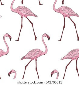 Vector seamless pattern with flamingos. Hand drawn birds.  Sketch style.