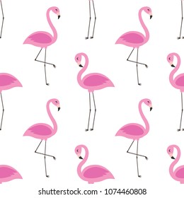 Vector seamless pattern with flamingos on white background