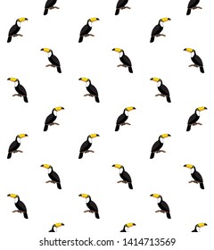 Vector seamless pattern of flat cartoon toucan tropical bird isolated on white background 