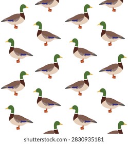 Vector seamless pattern of flat colored duck isolated on white background