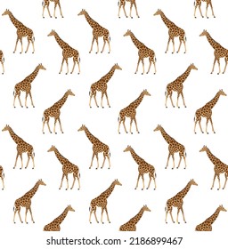 Patrón vectorial sin fisuras de la jirafa dibujada a mano plana aislada en fondo blanco