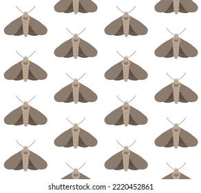 Vector seamless pattern of flat hand drawn moth isolated on white background