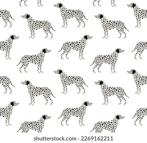 Vector seamless pattern of flat hand drawn dalmatian dog isolated on white background