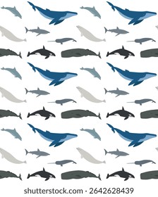 Vector seamless pattern of flat hand drawn whales isolated on white background