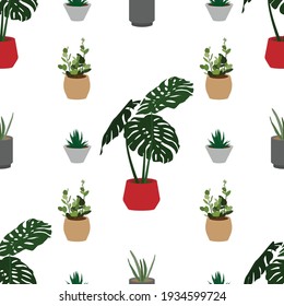 Vector seamless pattern. Flat illustration of home plants on a transparent background. Plants in colorful pots. Design for cards, posters, backgrounds, textiles, booklets, icons, backgrounds.