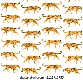Vector seamless pattern of flat leopard isolated on white background