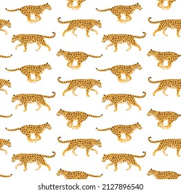 Vector seamless pattern of flat leopard isolated on white background