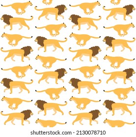 Vector seamless pattern of flat lion and lioness isolated on white background