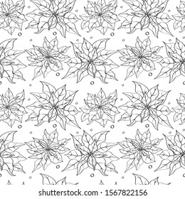 Vector seamless pattern floral christmas white line flowers euphorbia pulcherrima Poinsettia on white background