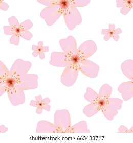 Vector seamless pattern. Floral design elements, sakura flowers, cherry blossom.