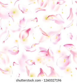 Vector seamless pattern with floral petals. Floral background with flowers, petal, blurred petals and soft leaves and stamen. Sakura petal pattern, blossom rose background, petals seamless pattern