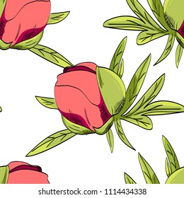 Vector seamless pattern with flowers. Buds of pink pions.